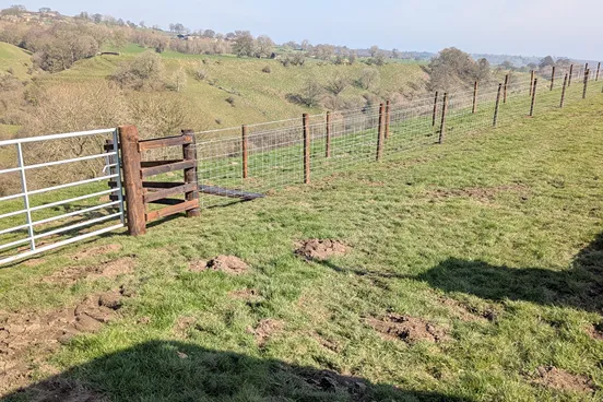 Horse Netting fence